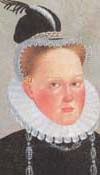Sophie von Mecklenburg-Schwerin, Regent of Schleswig-Holstein